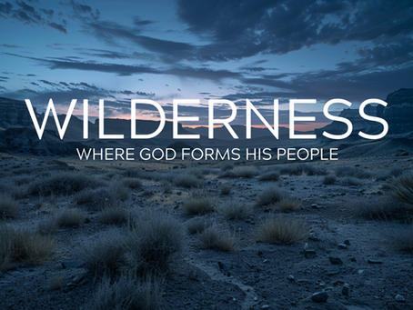 05: When The Wilderness Finds Us