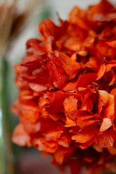 03_Domaine_1 (12).jpg