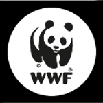 wwff.png