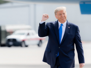 The Results of the 2024 Presidential Election 