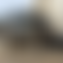 The Sentencing of David McBride: Protecting “Chosen War Heroes” and Imprisoning Whistleblowers