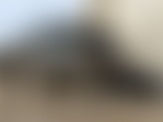 The Sentencing of David McBride: Protecting “Chosen War Heroes” and Imprisoning Whistleblowers