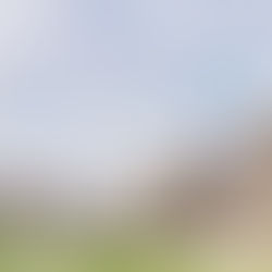 U.S. Threats to Hold Back H.I.V. Aid in Zambia Expose Trump Administration’s Priorities