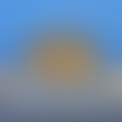 Understanding the Trump Supreme Court Ruling