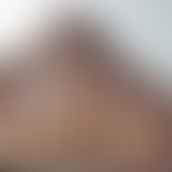 What is Democracy, really?