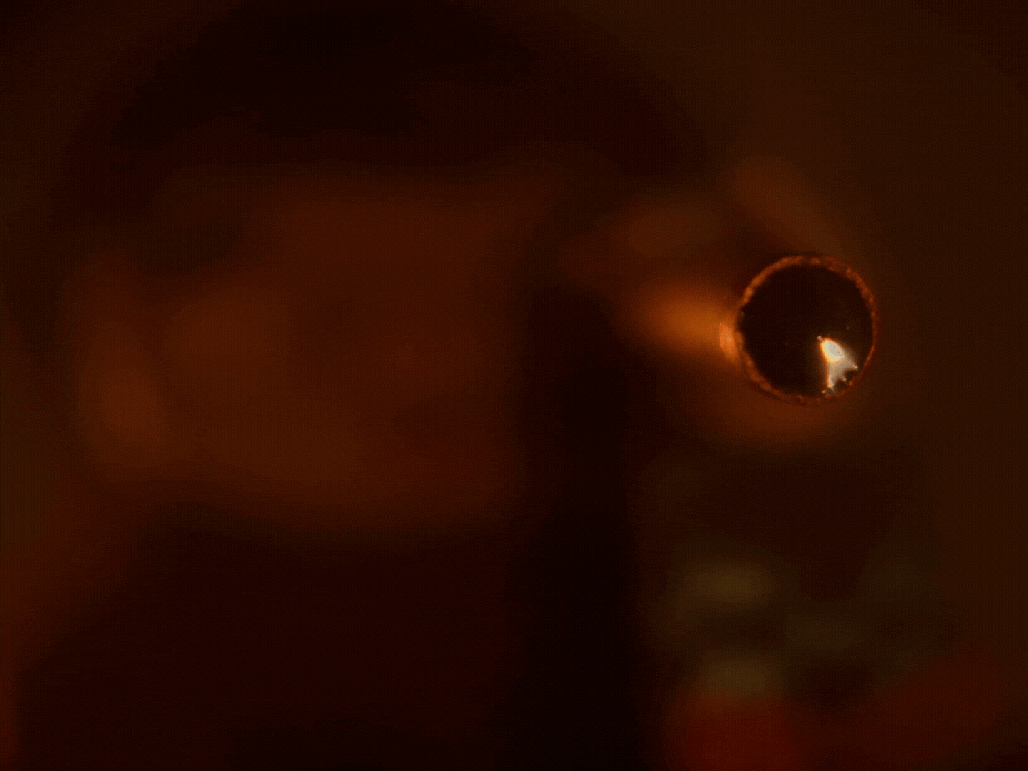 Untitled design (1).gif