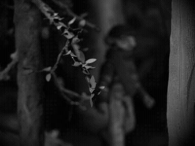 Untitled (3).gif
