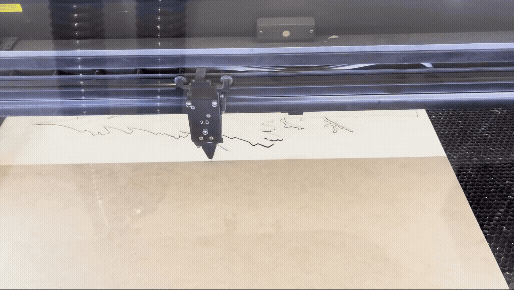 Adobe Express - IMG_1289.gif