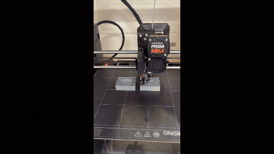 Adobe Express - IMG_8046.gif