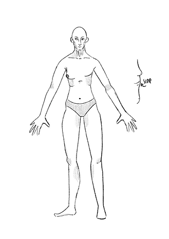 Ilustración_sin_título 2.png