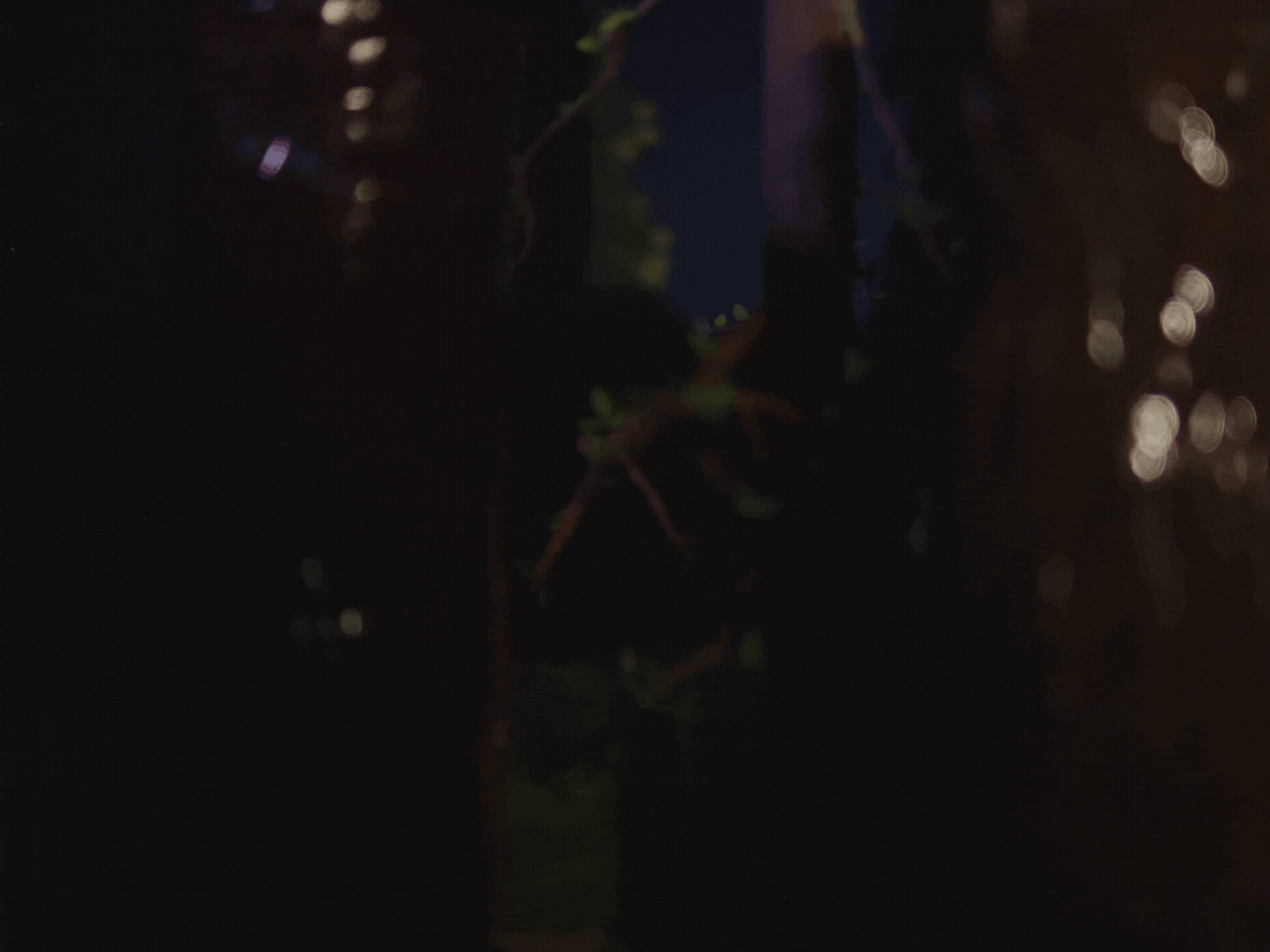 Untitled design (3).gif