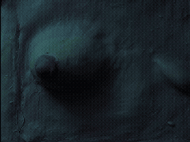 ScreenRecording_02-23-2026 5-38-28 PM_1.gif