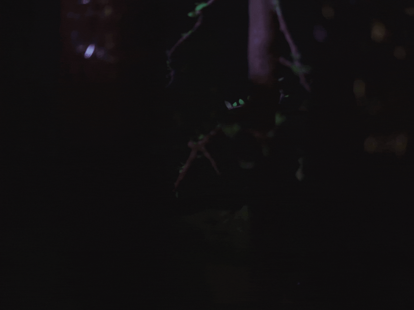 Untitled design (4).gif
