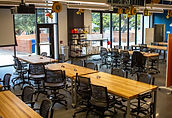 CATalyst Studios