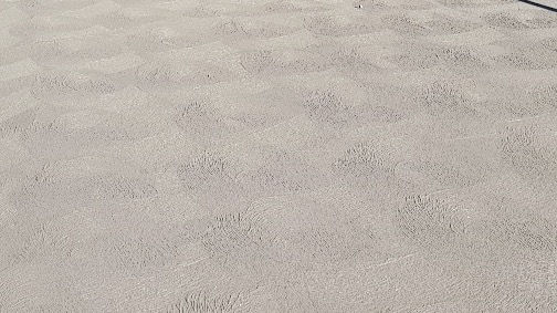 New Concrete Driveway - Cove Finish  (Price per m2)