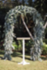 IMG-20181008-WA0041