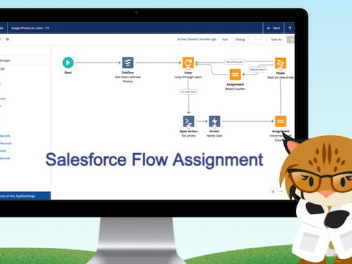 What is Assignment in Salesforce Flow – Detailed Guide