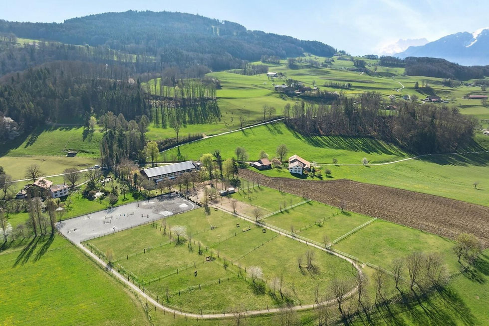 Vue générale