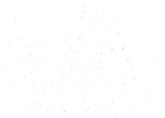 Particles
