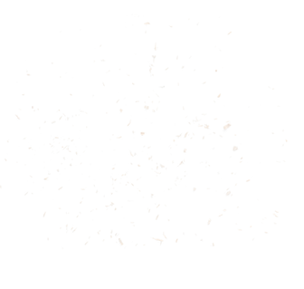 Particles
