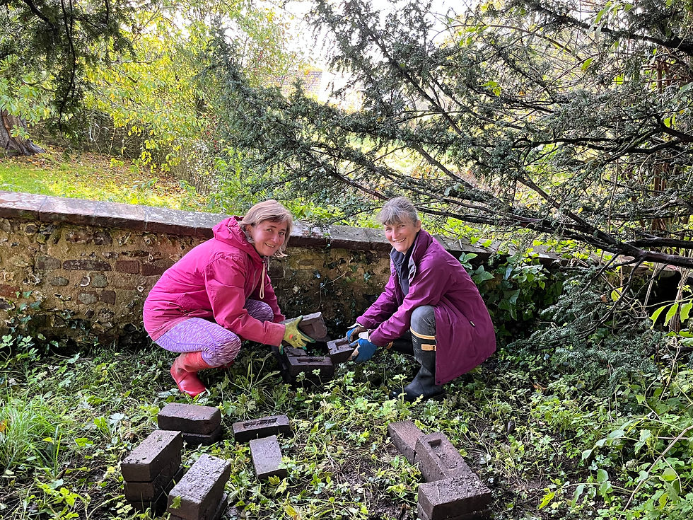 Building a hedgehog house
