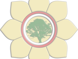 HRIT CHAKRA: The secret Sun Chakra