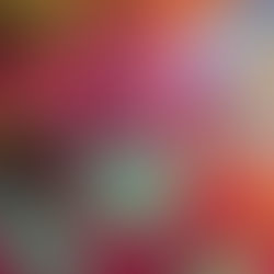 NEW SINGLE 'YEAH' OUT TODAY!!!!!!