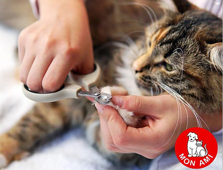 Chilled Cat Mon Ami Logo Cat Nail Clipping