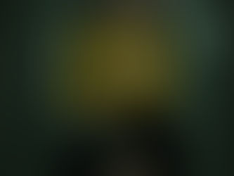 REVIEW: PAYNE'S BRANCH