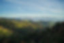 emmental.jpg