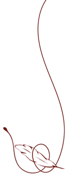pena 1 (3).png