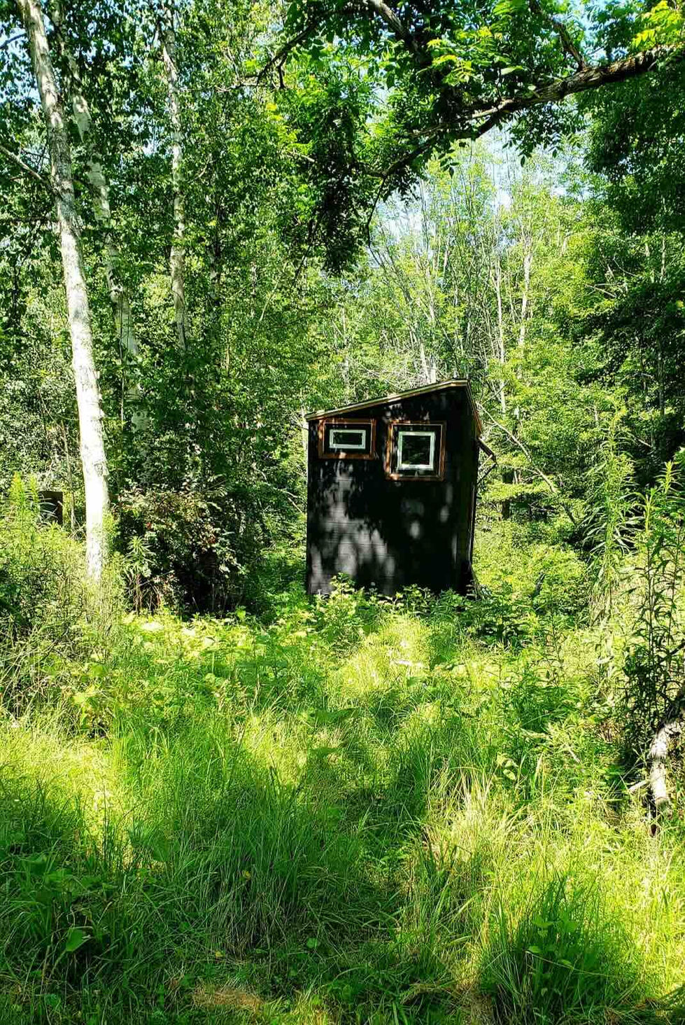 TH_woods