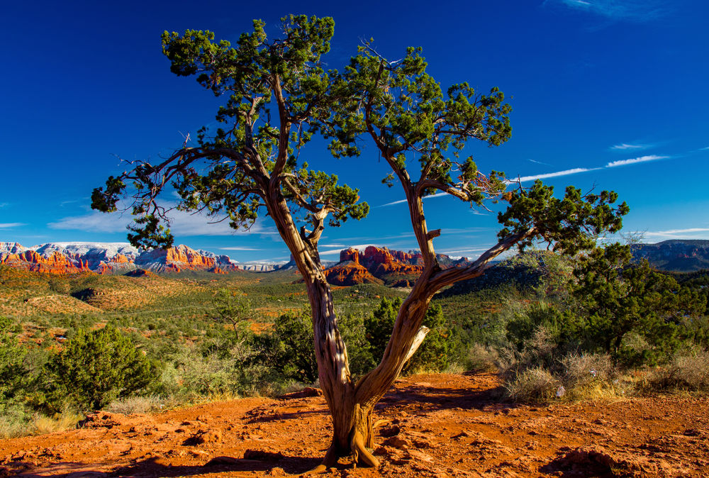 Exploring Arizona Jerome, Sedona & Mingus Mountain