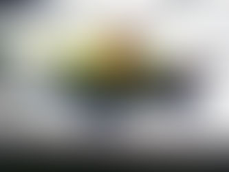 Coco Calling No.303 -  The Return of the Sun