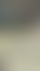 Coco Calling No.278 - A Guest Blog by Tracey Barton