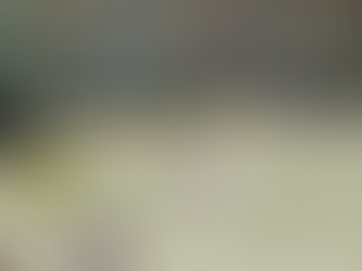 Coco Calling No.278 - A Guest Blog by Tracey Barton