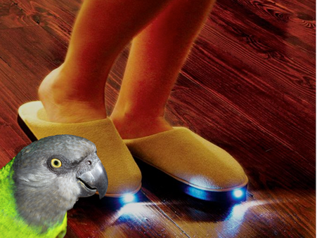 Coco Calling No.272 - The Greatest Inventions of All
