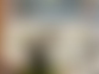 Coco Calling No.237 - Embracing the Moment for Change and Renewal