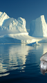 Coco Calling No.320 - All About Icebergs