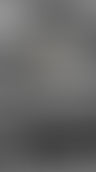 Coco Calling No.273 - All Aboard the ‘Magic Bus’