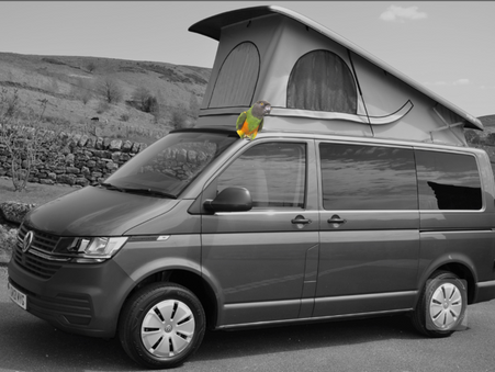 Coco Calling No.273 - All Aboard the ‘Magic Bus’