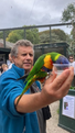 Coco Calling No.325 - My Wayward Owner, or a Jealous Bird?