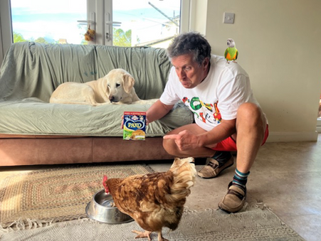 Coco Calling No.312 - The Bowl of Shame