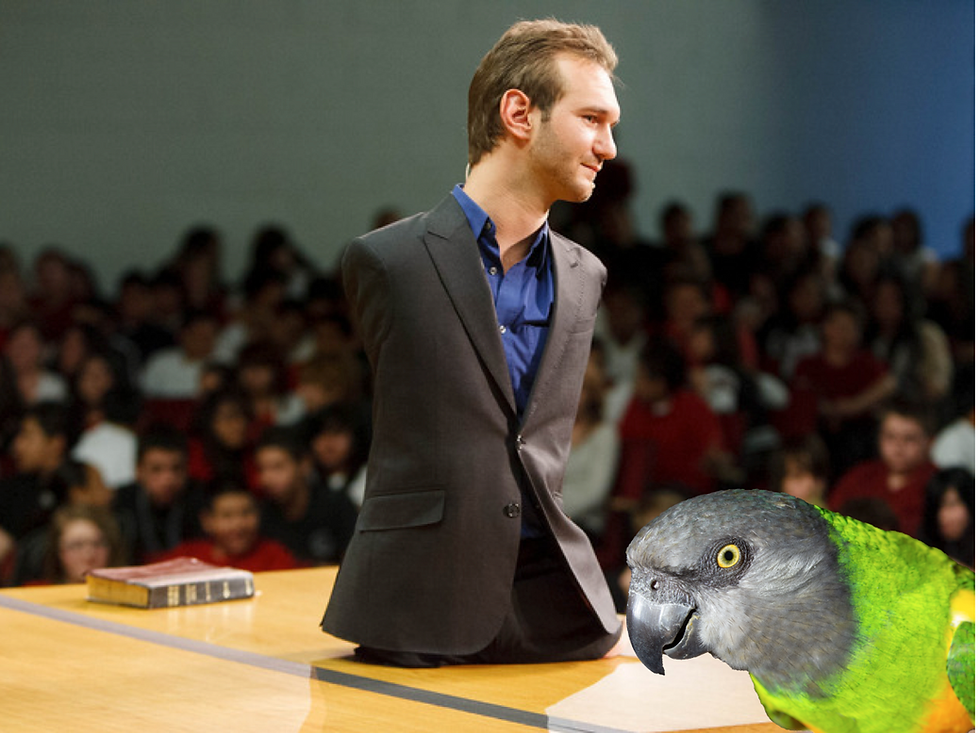 Calling No.311 -  The Story of Nick Vujicic