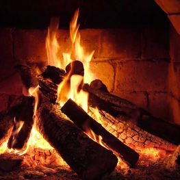 Plucked from the Fire