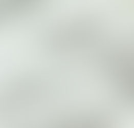 Build or LET Endurance?