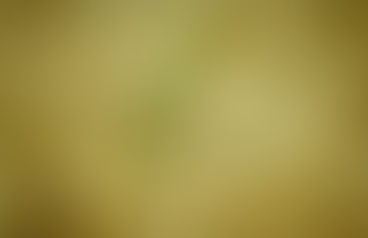 One of Twelve- Betrayer