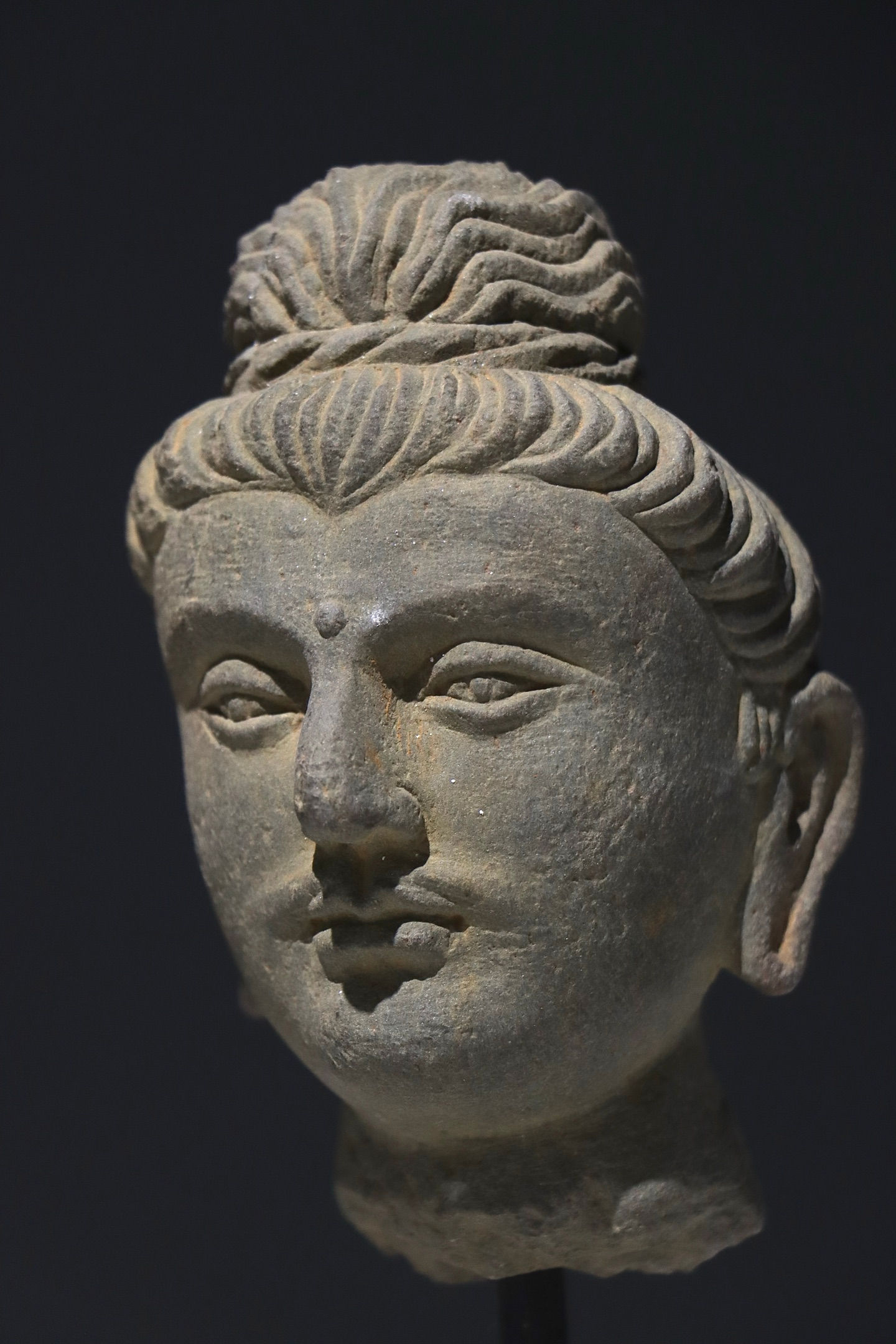 Gandharan Style Buddha Head, Pre-Ming Style