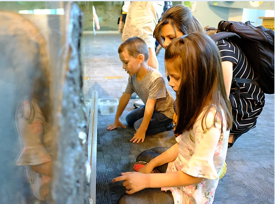 Grammar School Science Field Trip