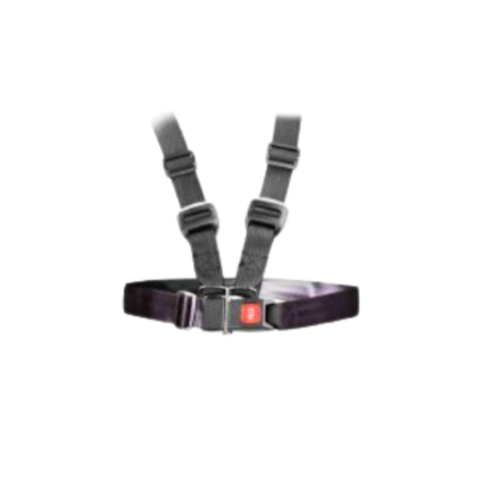 Image of a safety belt